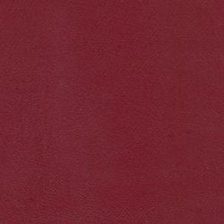 525630